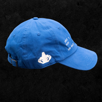 Sulek Hat